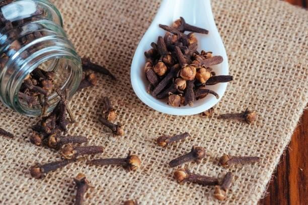 Indonesian Clove Bud Oil — deep antifungal ingredient in Nail Refresh