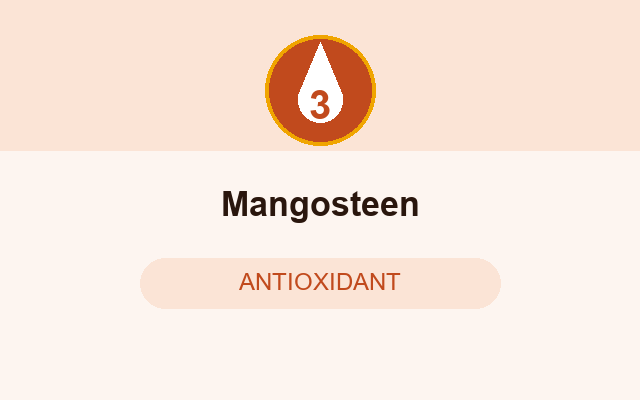 Mangosteen in Ignitra