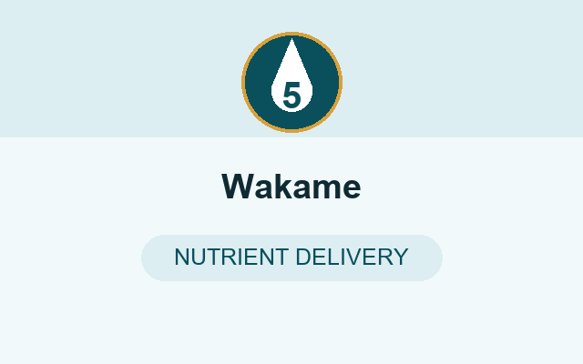 Wakame in OptiPlax