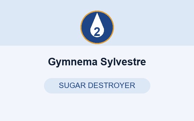 Gymnema Sylvestre in RegenVive
