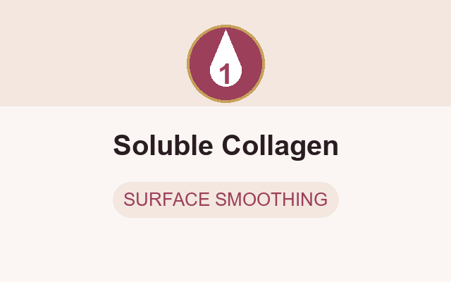 Soluble collagen in South Beach Collagen Filler Serum