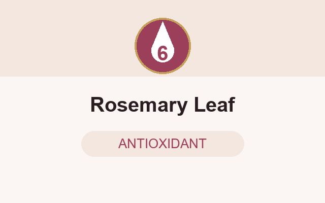 Rosemary leaf extract in the serum