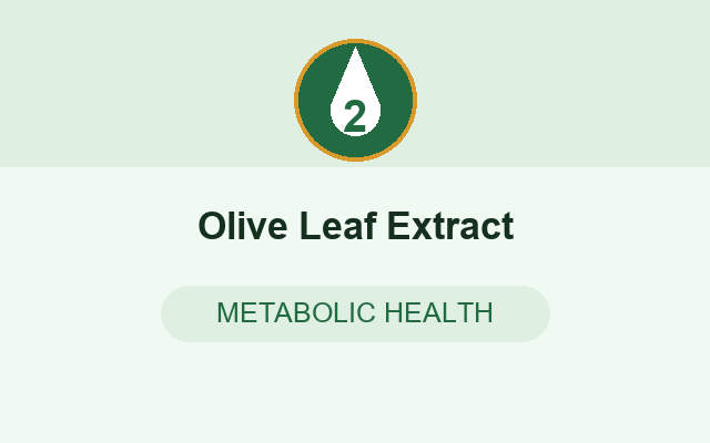 Olive Leaf Extract in WegoSlim